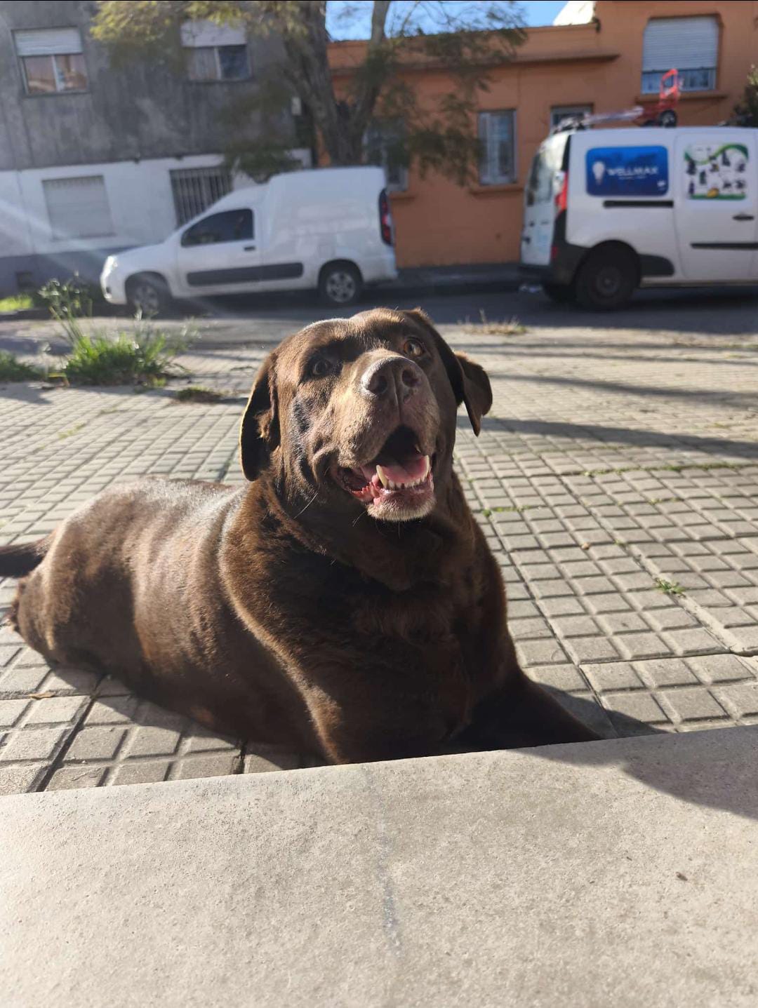 Carmela