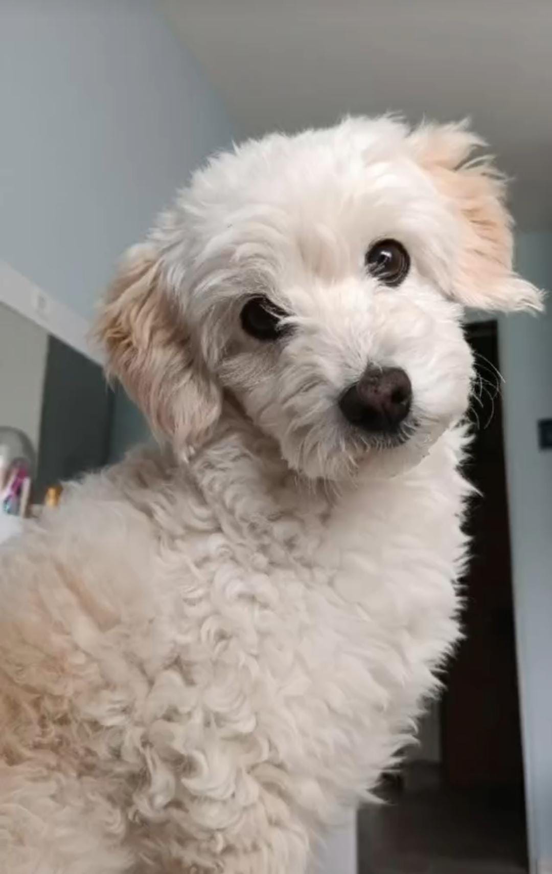 Chumilo